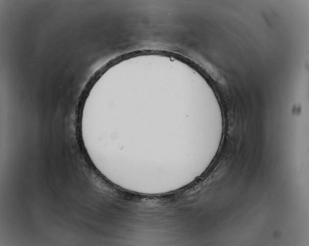 X0000101681264200808071100