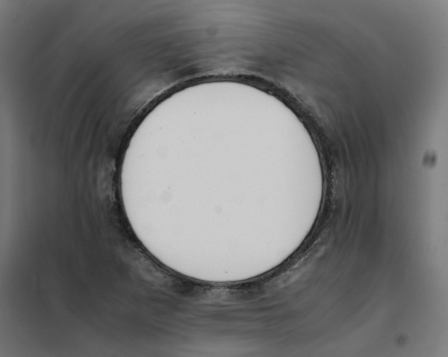 X0000101681265200808071100