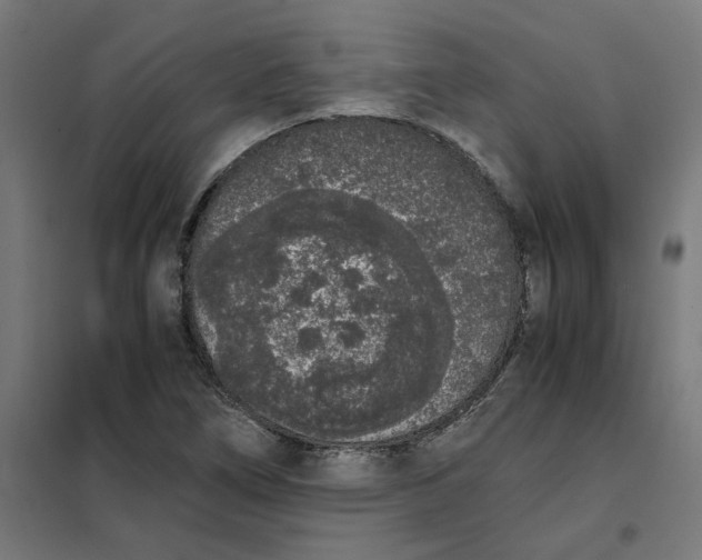 X0000101681266200808071100