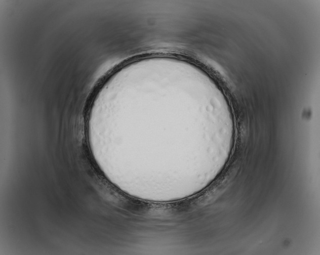 X0000101681267200808071100