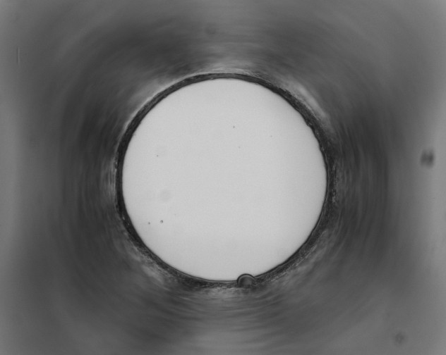 X0000101681268200808071100