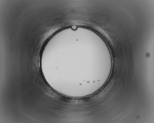 X0000101681269200808071100