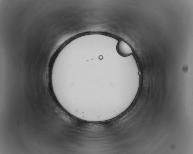 X0000101681270200808071100