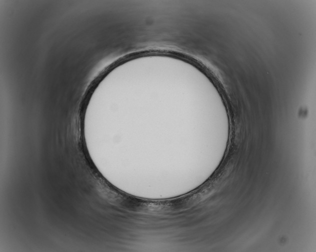 X0000101681271200808071100