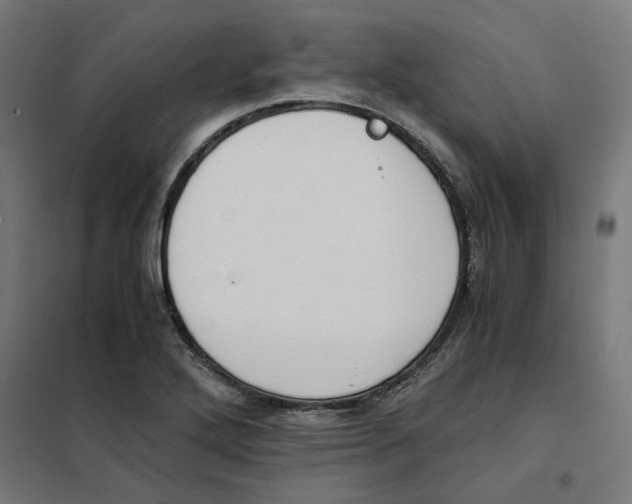 X0000101681272200808071100