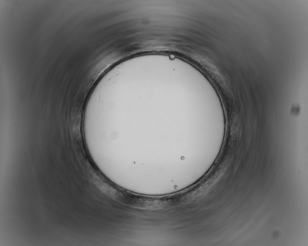 X0000101681273200808071100