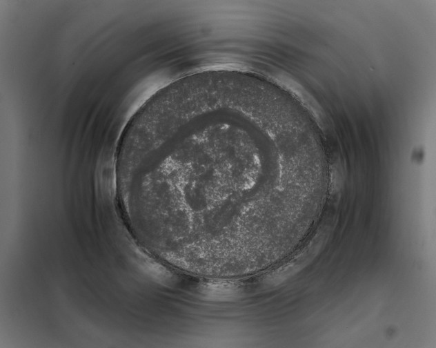 X0000101681274200808071100