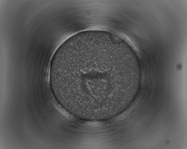 X0000101681276200808071100