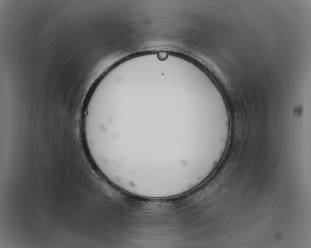 X0000101681277200808071100