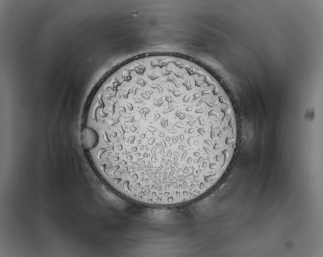 X0000101681278200808071100