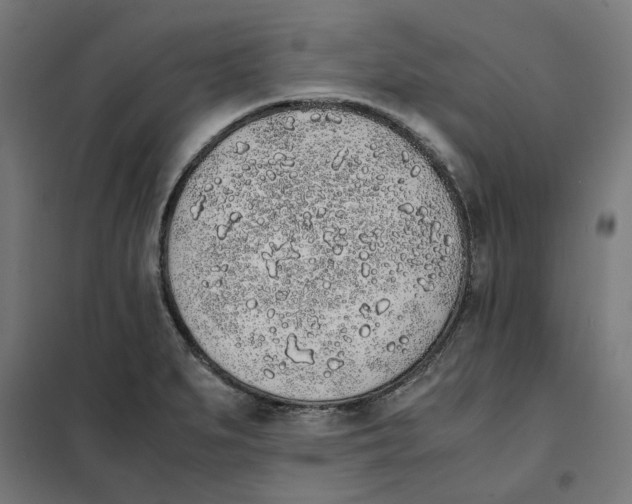 X0000101681279200808071100