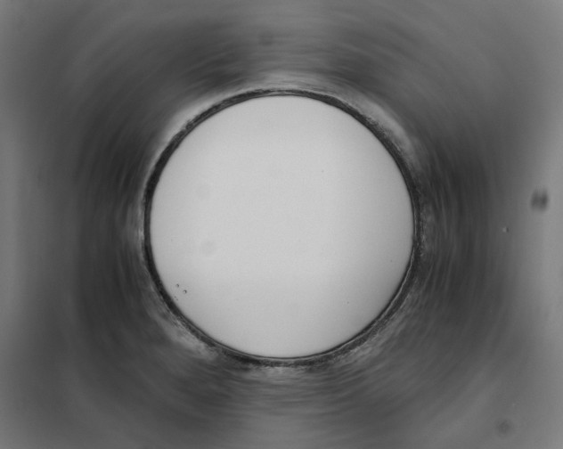 X0000101681280200808071100