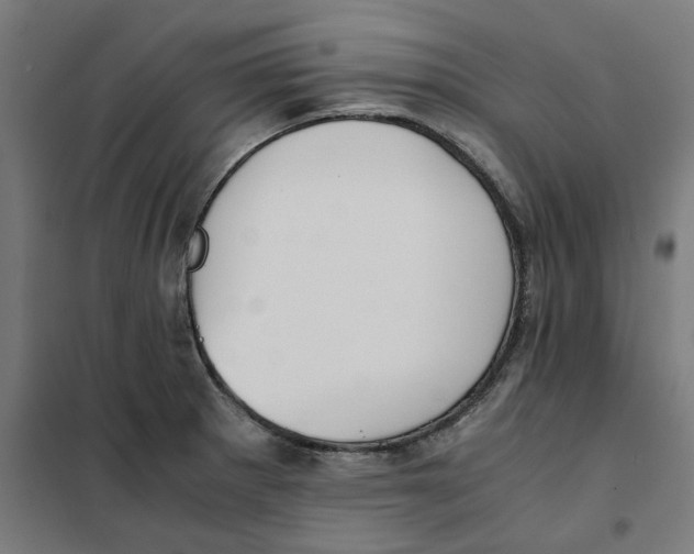 X0000101681281200808071100