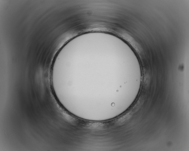 X0000101681282200808071100