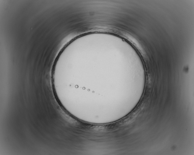 X0000101681283200808071100