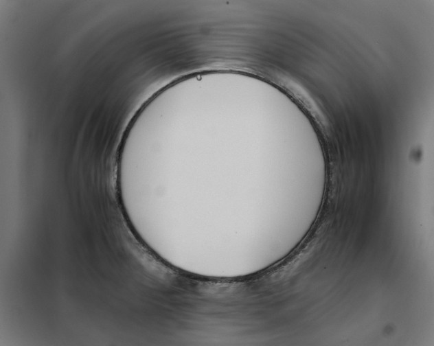 X0000101681284200808071100