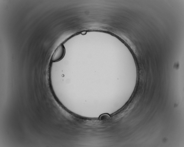 X0000101681285200808071100