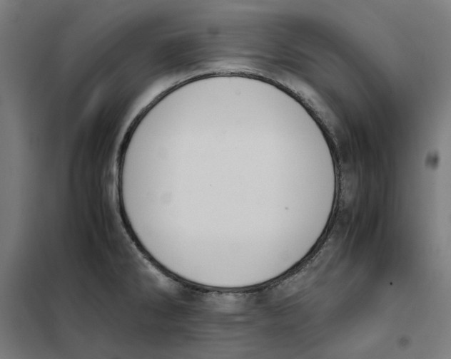 X0000101681286200808071100