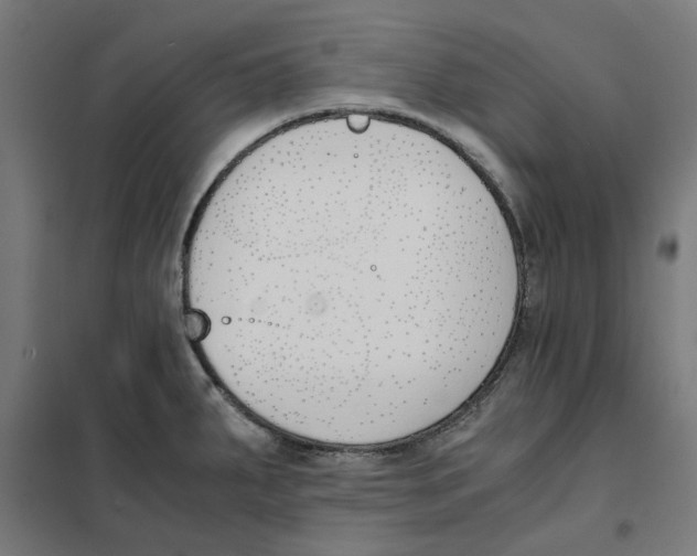 X0000101681287200808071100