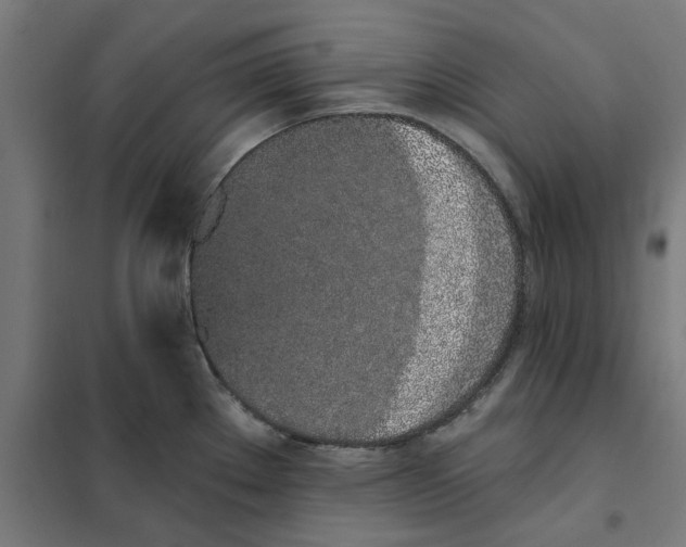 X0000101681289200808071100