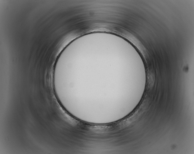 X0000101681290200808071100