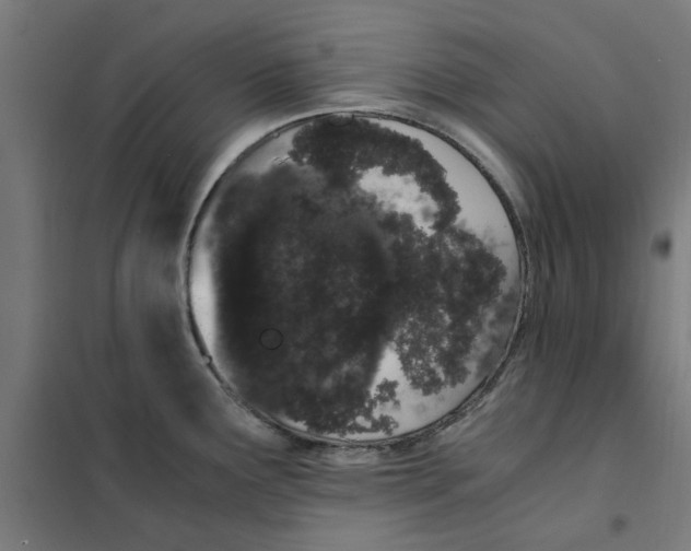 X0000101681291200808071100