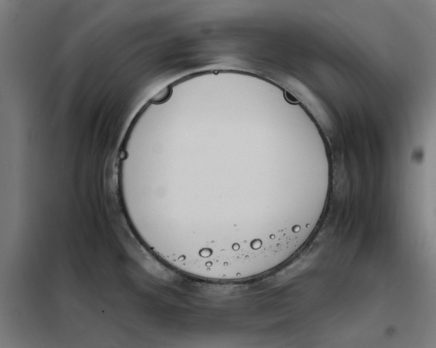 X0000101681292200808071100