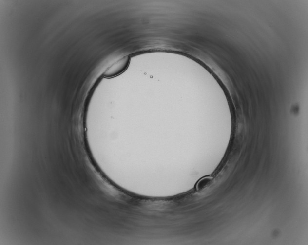 X0000101681293200808071100