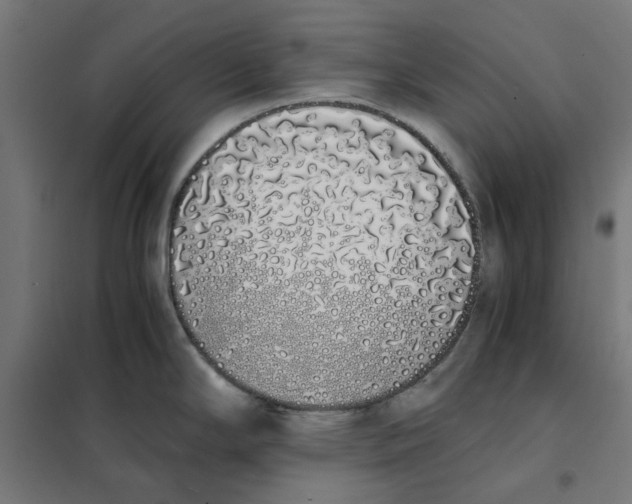 X0000101681294200808071100