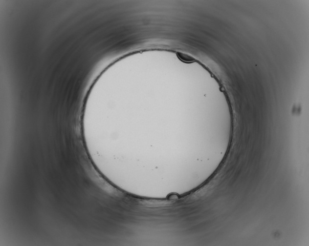 X0000101681296200808071100