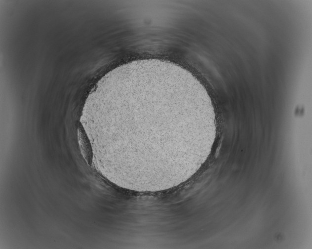 X0000101681297200808071059