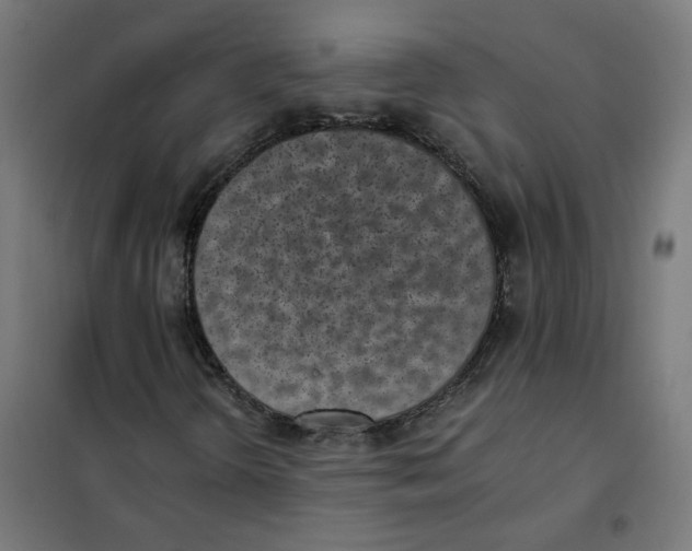 X0000101681298200808071059