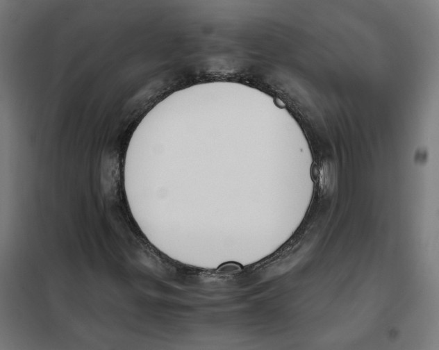 X0000101681299200808071059