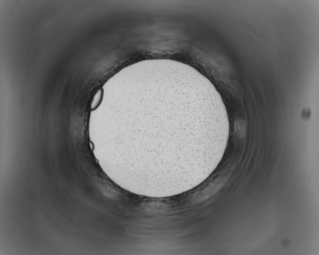 X0000101681300200808071059