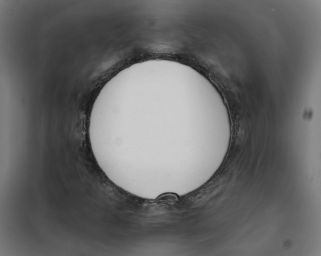 X0000101681301200808071059