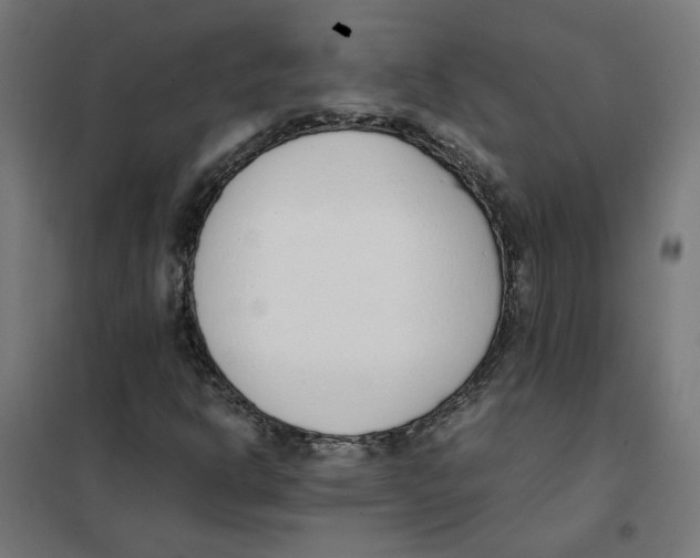 X0000101681302200808071059