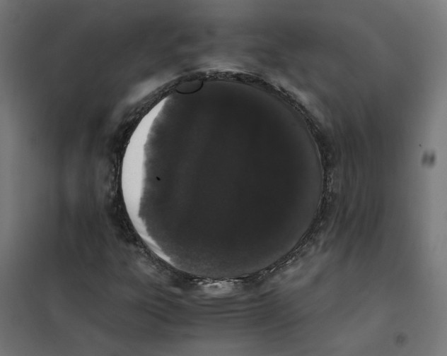 X0000101681303200808071059