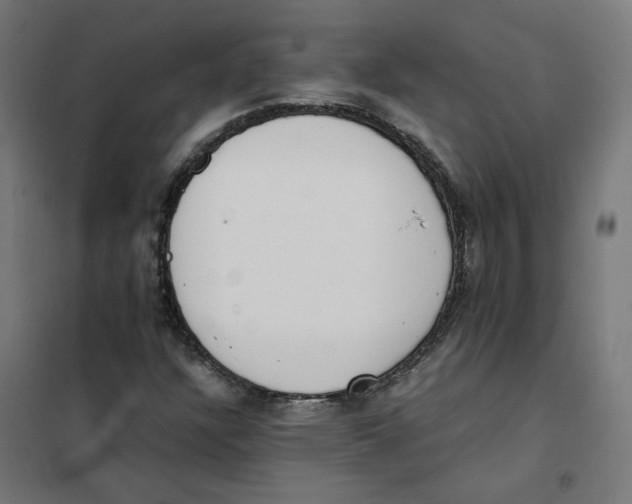 X0000101681304200808071059