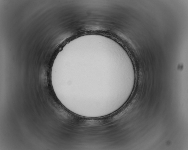 X0000101681305200808071059