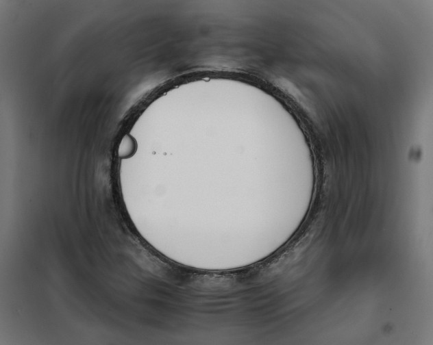 X0000101681307200808071059