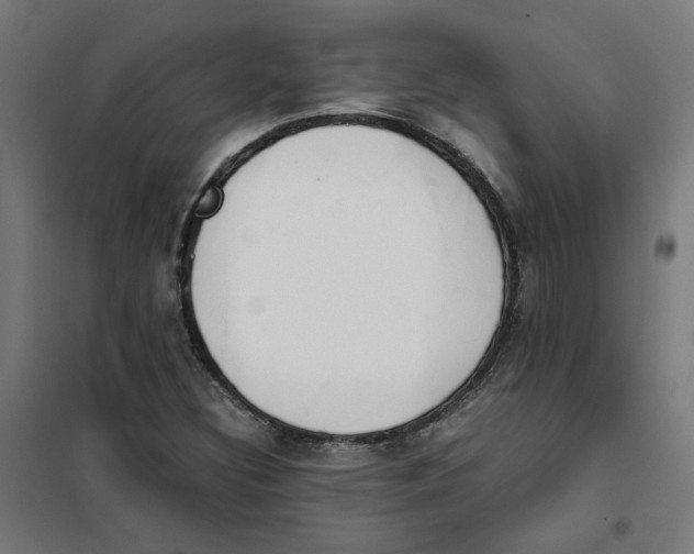 X0000101681308200808071059