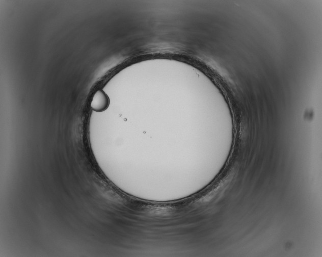 X0000101681309200808071059