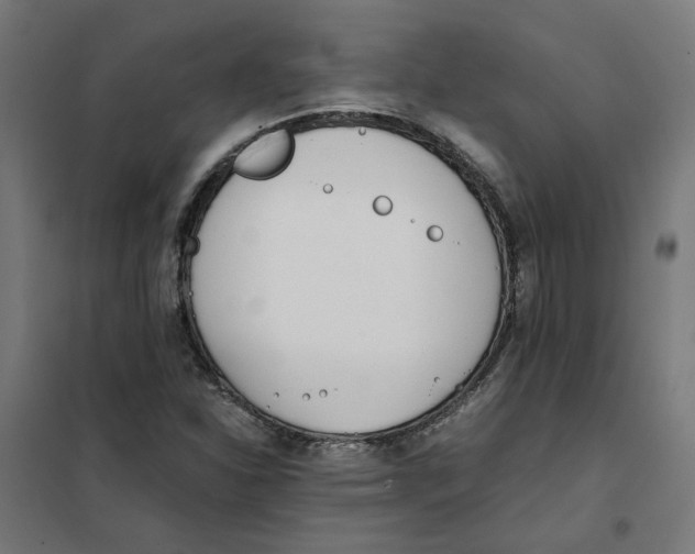 X0000101681310200808071059