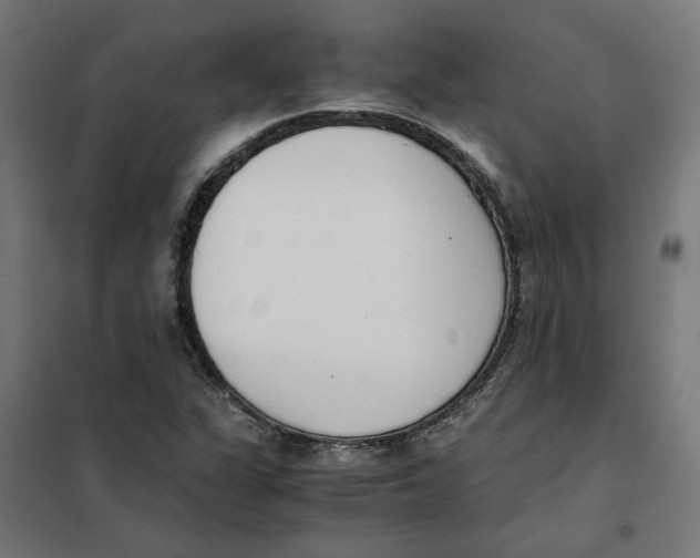 X0000101681311200808071059