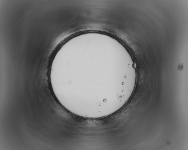 X0000101681312200808071059