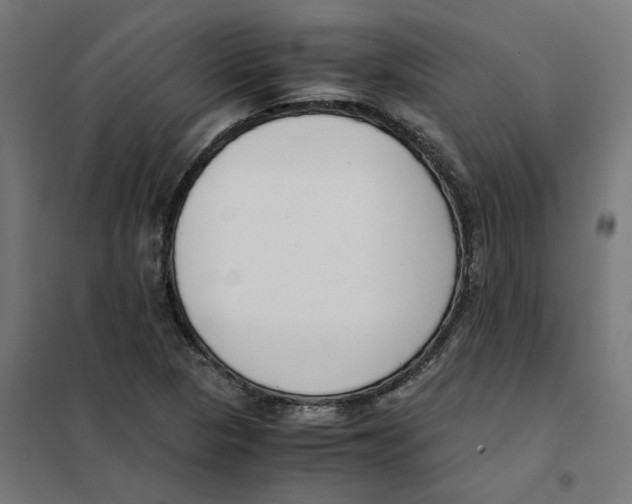 X0000101681313200808071059