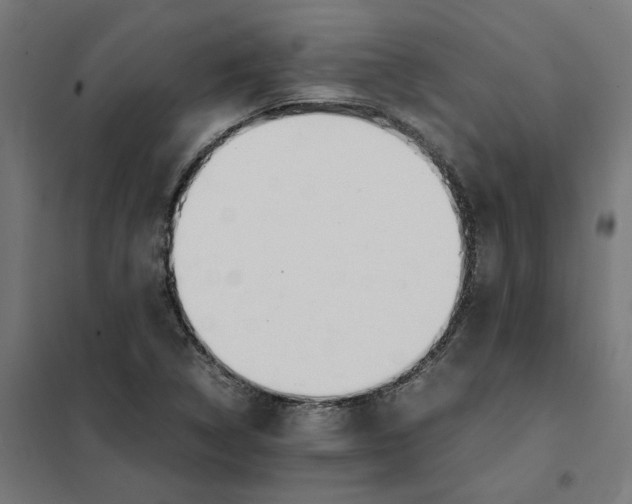 X0000101681314200808071059