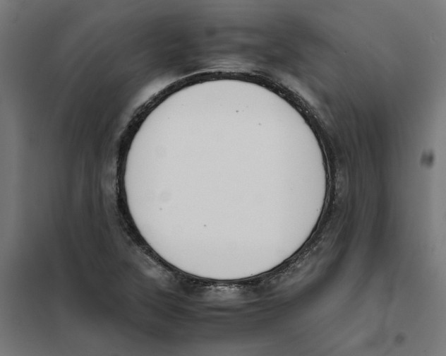 X0000101681315200808071059