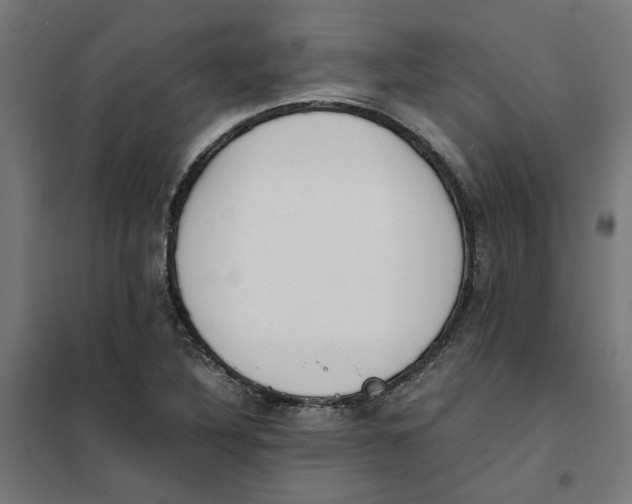 X0000101681316200808071059