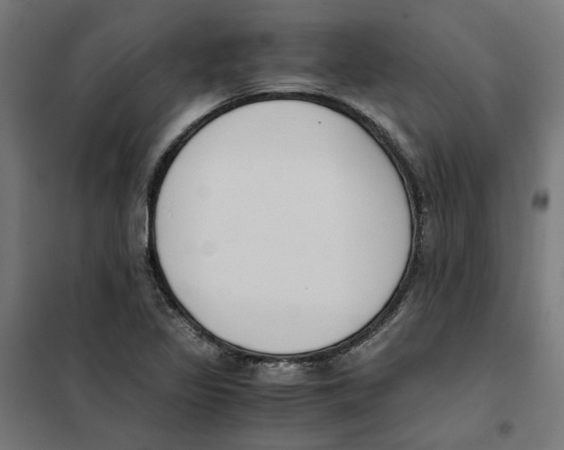 X0000101681317200808071059